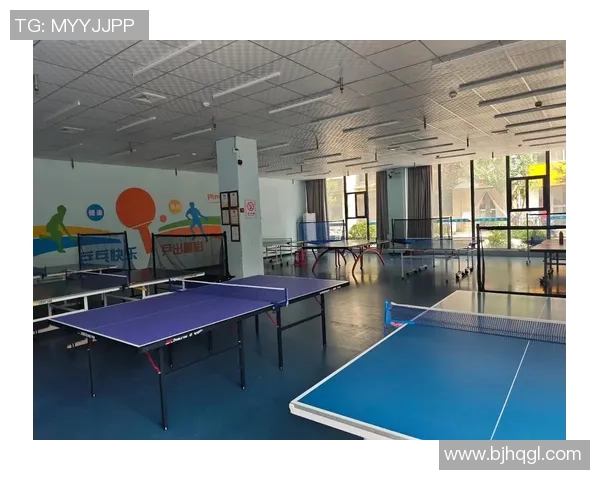 乒乓球的魅力之旅：深入广州乒乓球队的技术与训练揭秘