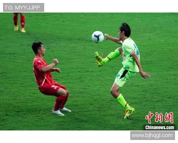 乌龟与足球明星的奇妙联结揭秘你不知道的故事与传说