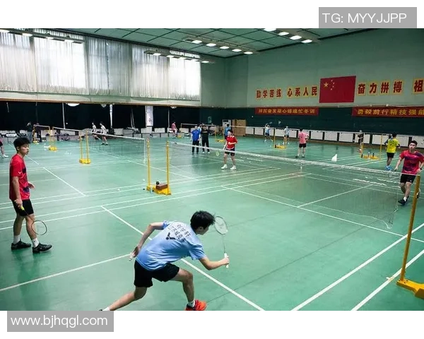 南京羽毛球队在全运会积分榜中以83分稳居第一名展现强劲实力