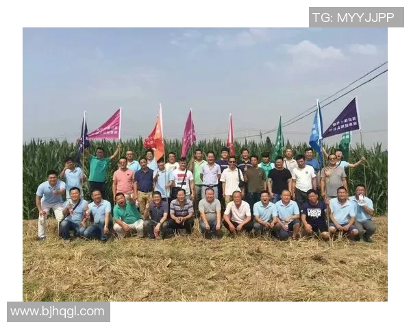 重庆羽毛球队重塑辉煌之路的反击与创新探索 重庆羽毛球队重塑辉煌之路的反击与创新探索