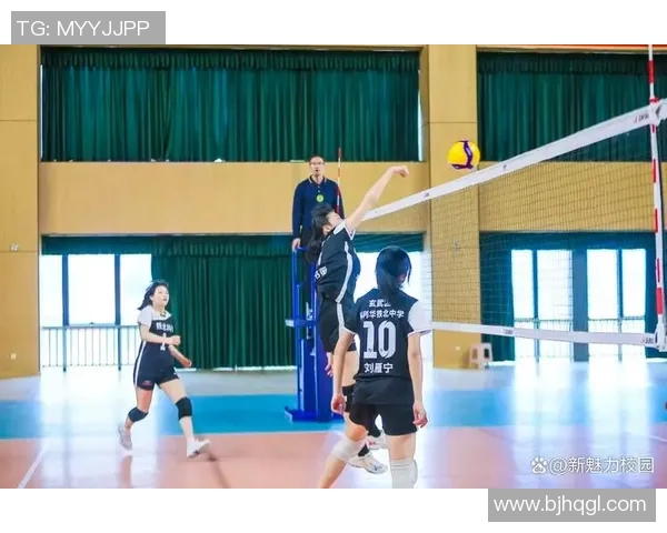 南京排球队在精英赛中的状态分析与表现评估