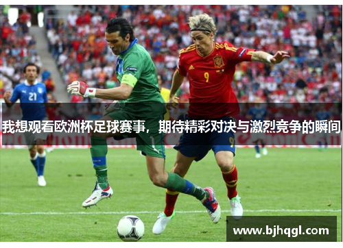 我想观看欧洲杯足球赛事，期待精彩对决与激烈竞争的瞬间
