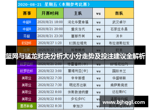 篮网与猛龙对决分析大小分走势及投注建议全解析
